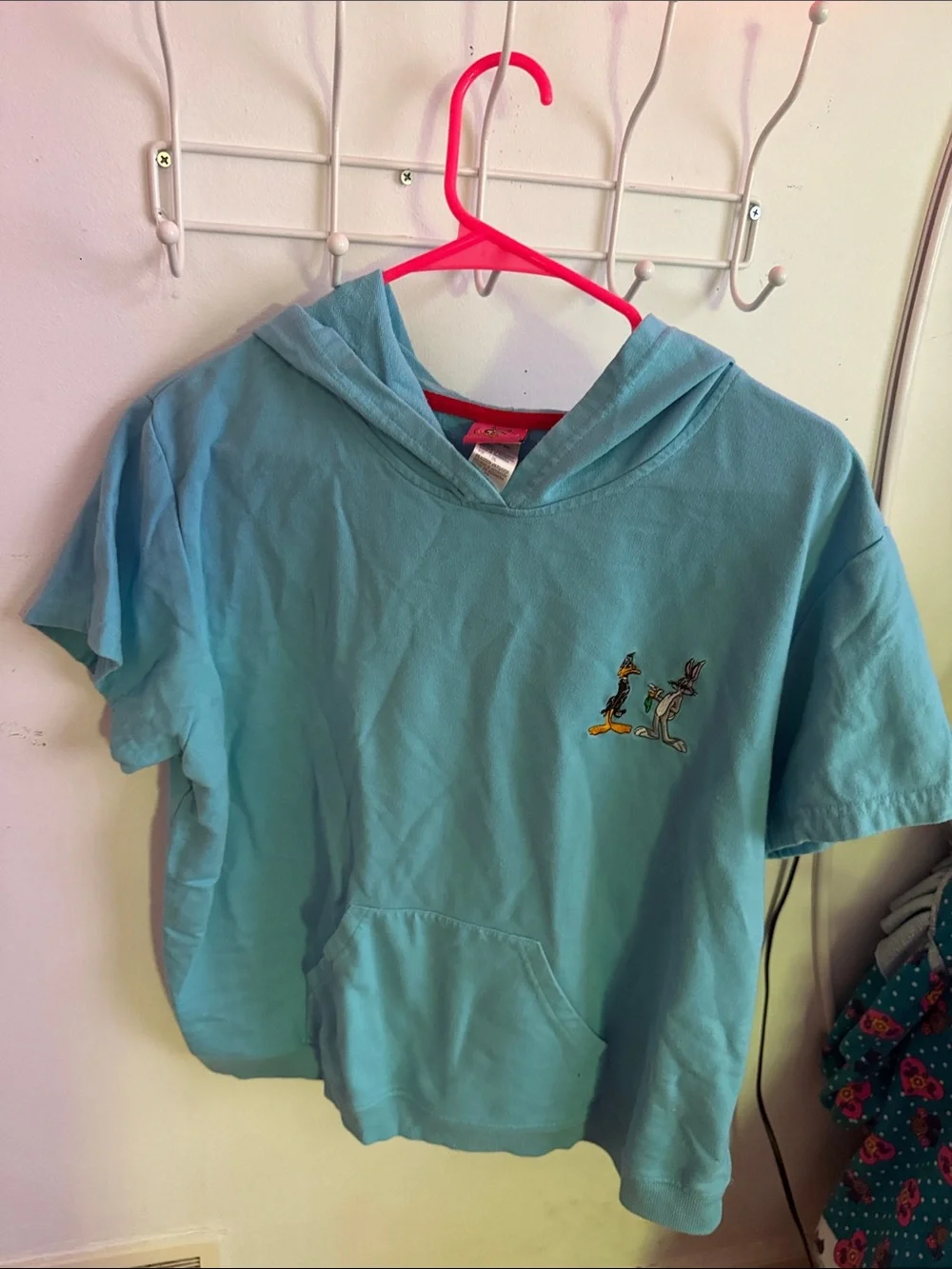 Warner Bros. Light Blue Kids Hoodie Tee with Looney Tunes Patch